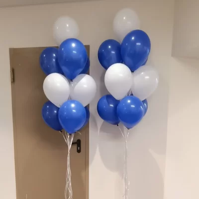 UÇAN BALON 38